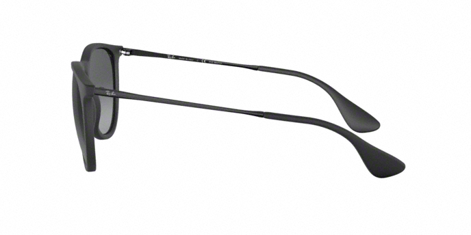 Ray Ban RB4171 622/T3 Erika