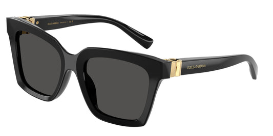 Dolce & Gabbana DG 4498 501/87