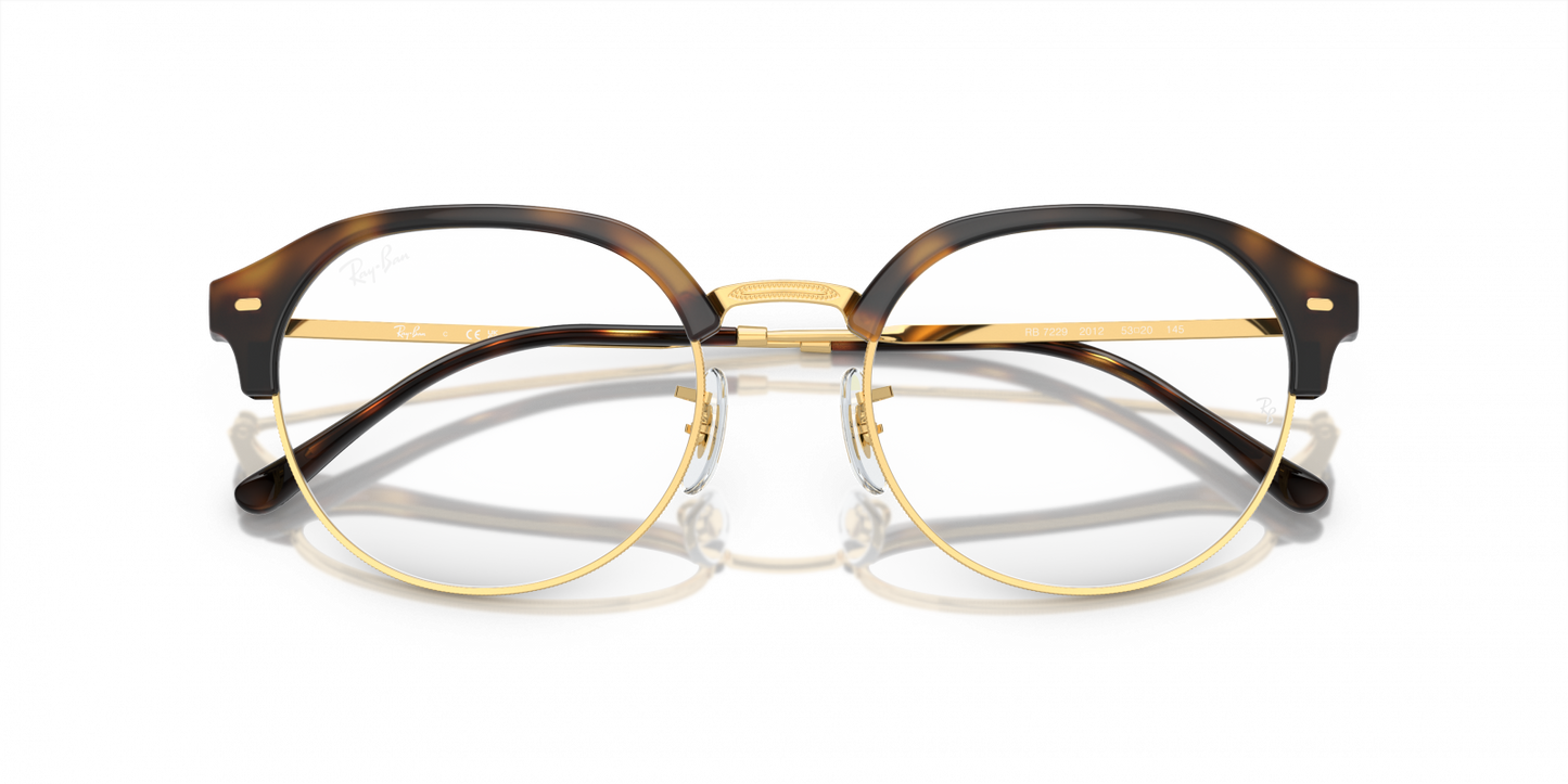 Ray Ban RX7229