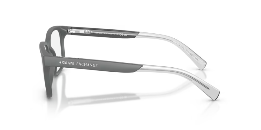 Armani Exchange AX 3029 8296