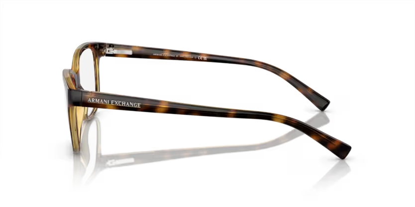 Armani Exchange AX 3037 8037