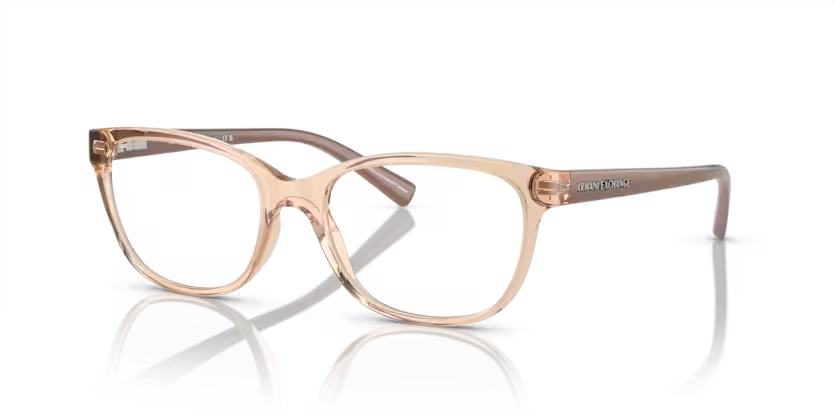 Armani Exchange AX 3037 8342