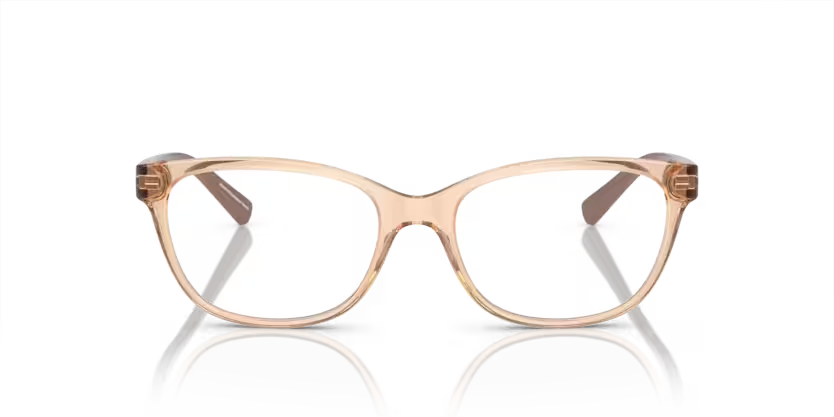 Armani Exchange AX 3037 8342