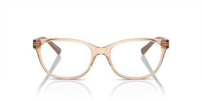 Armani Exchange AX 3037 8342