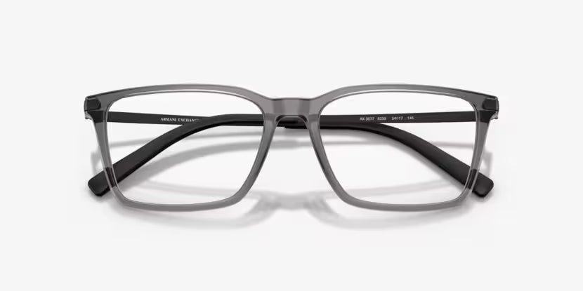 Armani Exchange AX 3077 8239