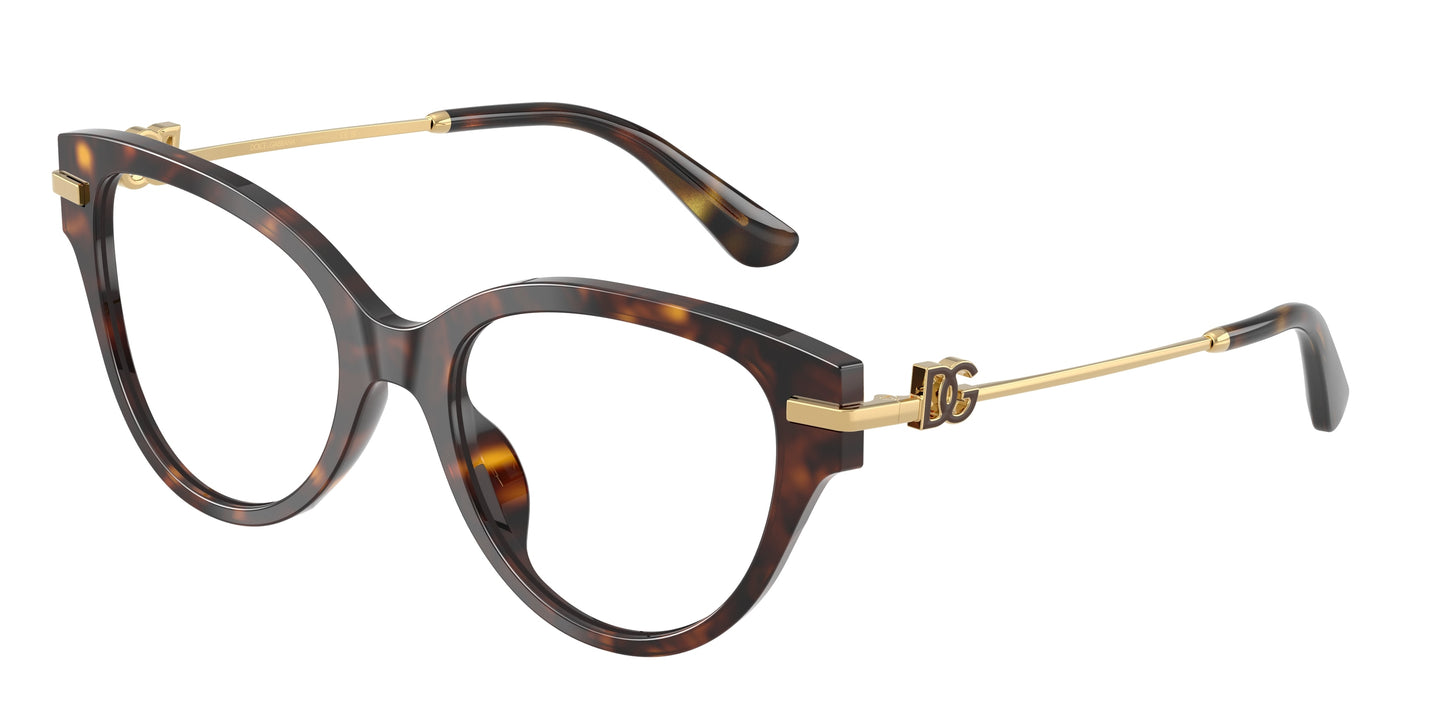 Dolce & Gabbana DG3438 502