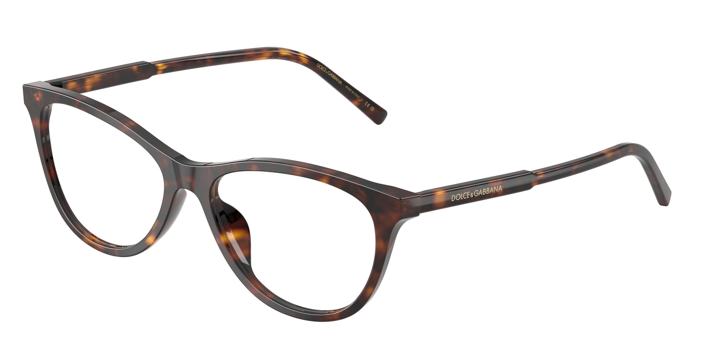 Dolce & Gabbana DG3443 502