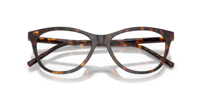 Dolce & Gabbana DG3443 502