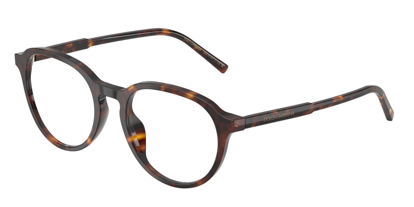 Dolce & Gabbana DG3444 502