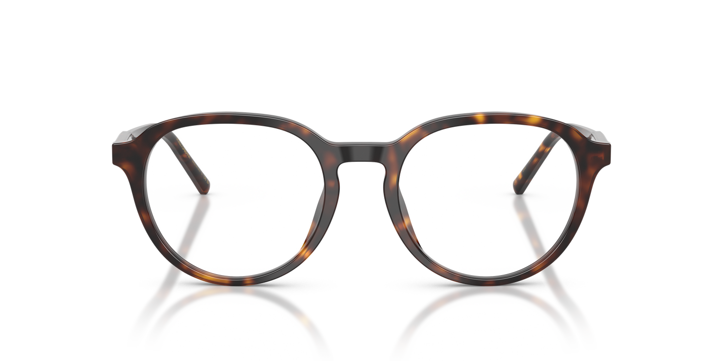 Dolce & Gabbana DG3444 502