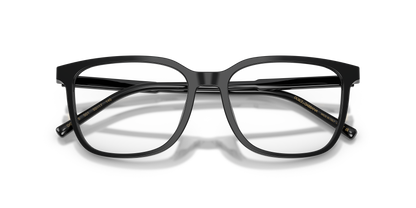Dolce & Gabbana DG3445 501