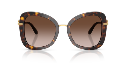 Dolce & Gabbana DG3438 502