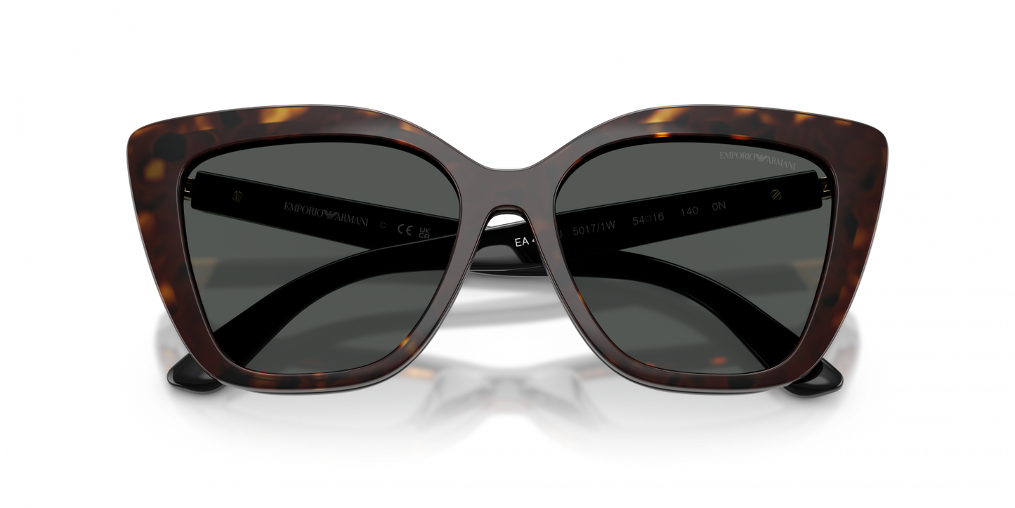 Emporio Armani EA4254U 50171W