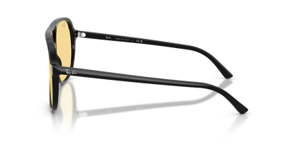 Ray-Ban RB2198 901/R6 Bill