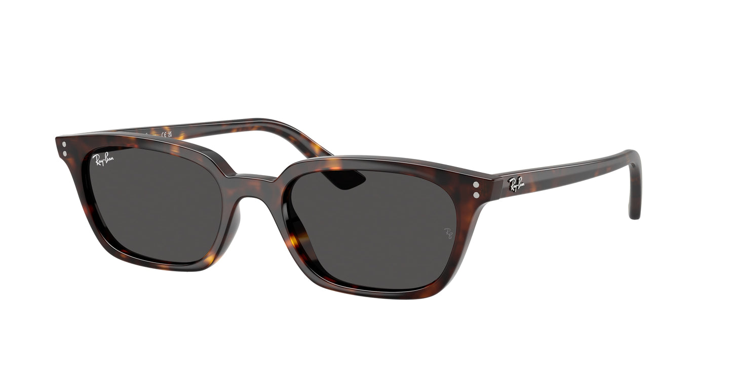 Ray Ban RB4456 135987 Zaya