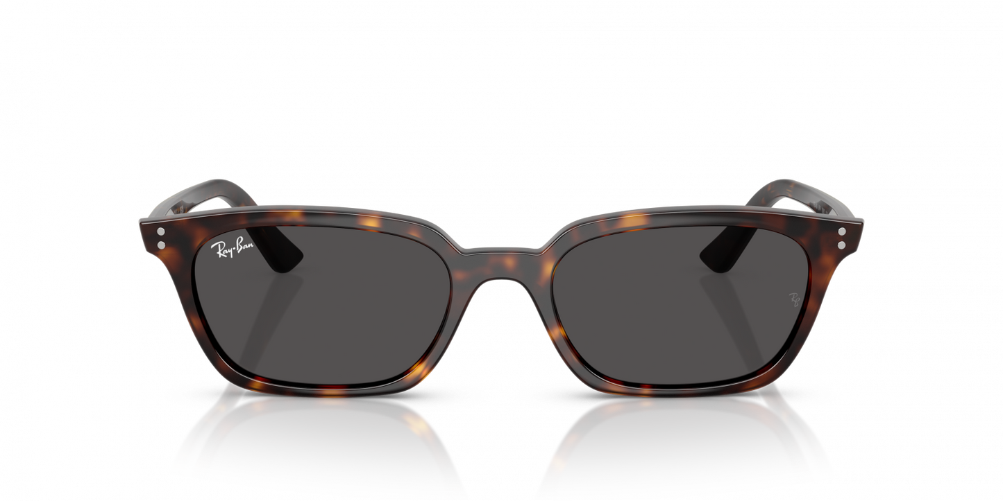 Ray Ban RB4456 135987 Zaya