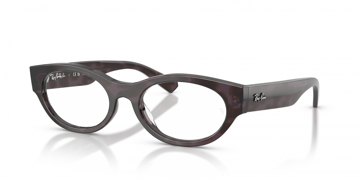 Ray-Ban RX5447 8461
