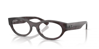 Ray-Ban RX5447 8461