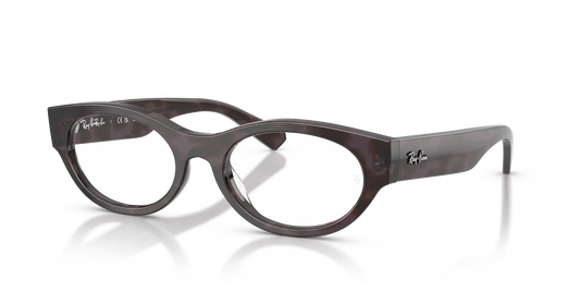 Ray-Ban RX5447 8461