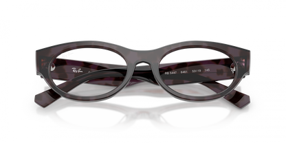 Ray-Ban RX5447 8461