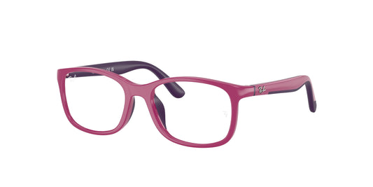 Ray-Ban RY1644 3933