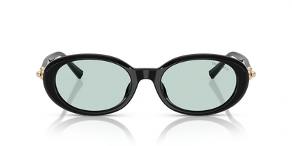 Tiffany TF 4242D 8001/D09